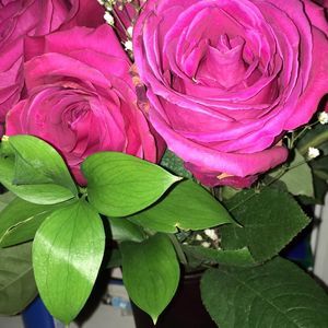 Meet your Posher, Sol